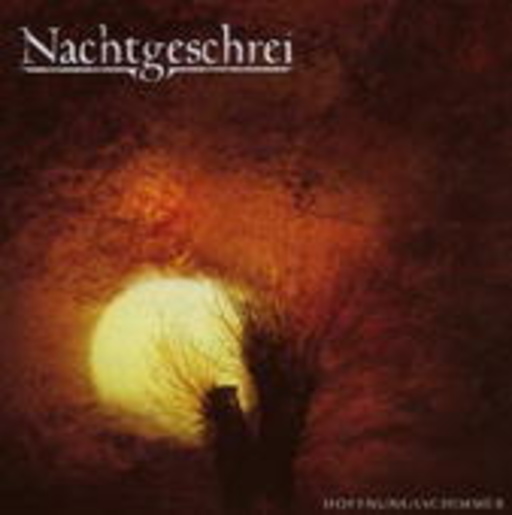 Nachtgeschrei – Hoffnungsschimmer