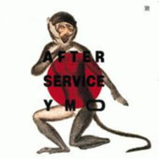 Y.M.O. – After Service