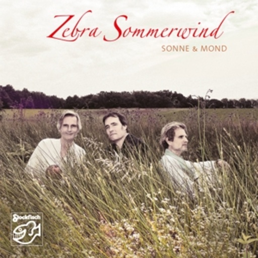 Zebra Sommerwind – Sonne & Mond
