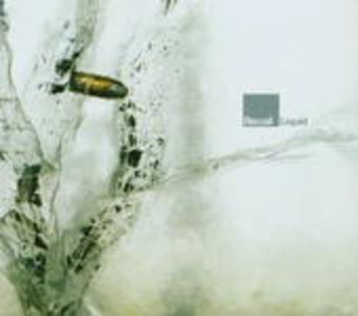 Recoil – Liquid
