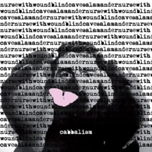 Nurse With Wound/Blind Cave Salamander – Cabbalism
