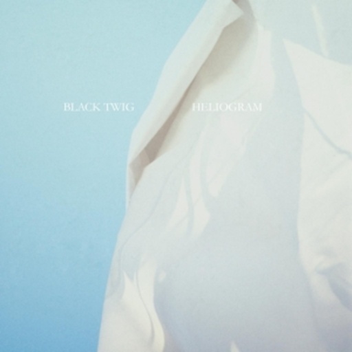 Black Twig – Heliogram