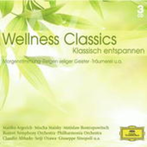 Diverse – Wellness Classics: Klassisch entspannen
