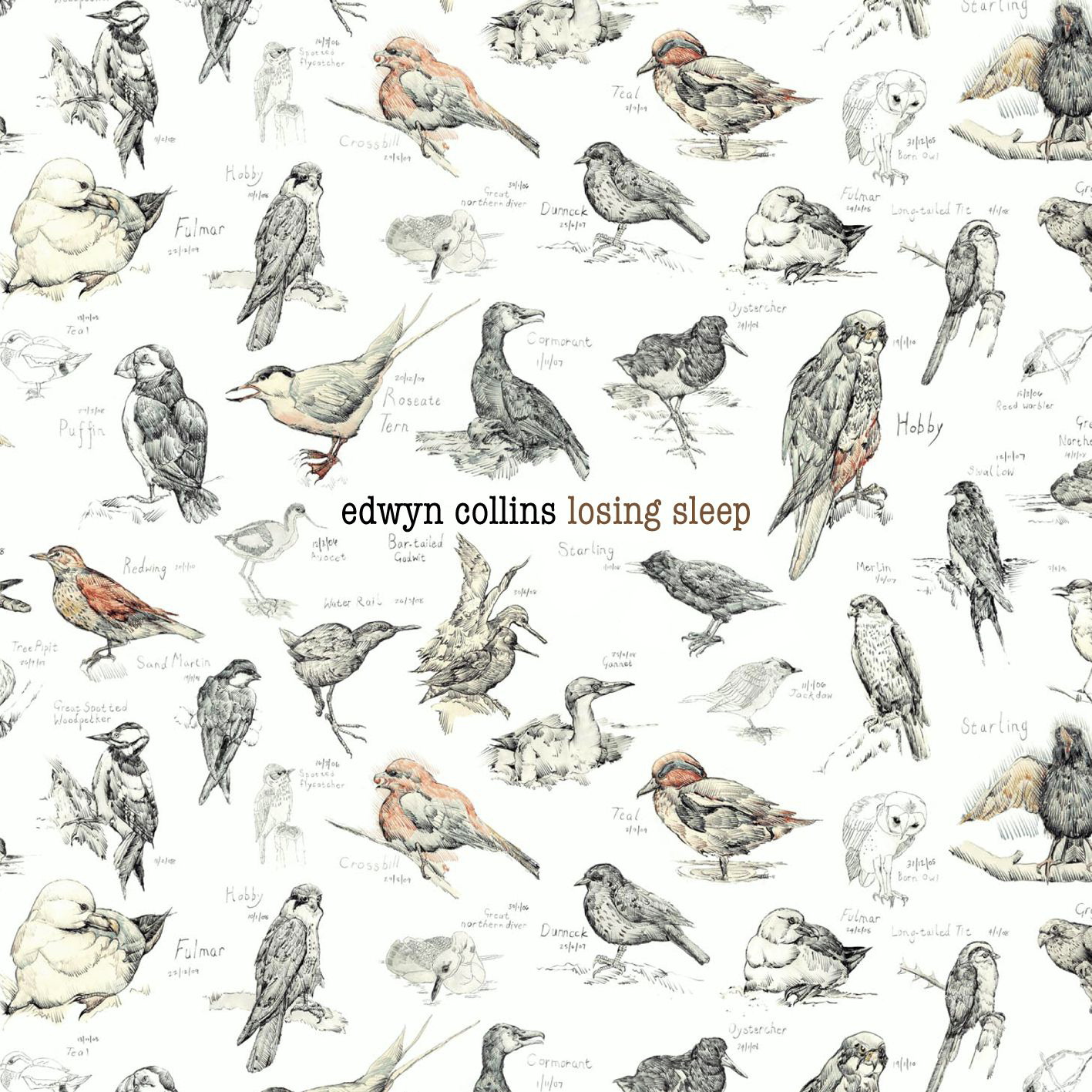 Edwyn Collins – Losing Sleep