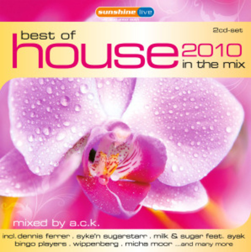 Diverse – Best Of House 2010 In The Mix