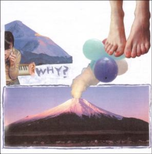 Why? – Elephant Eye Lash