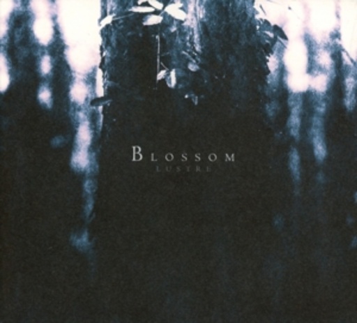 Lustre – Blossom