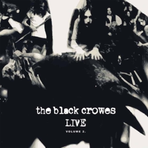 The Black Crowes – Live - Vol. 2