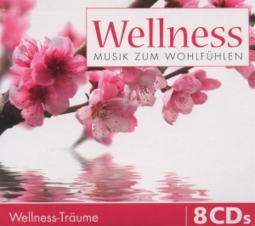 Diverse – Wellness - Musik zum Wohlfühlen