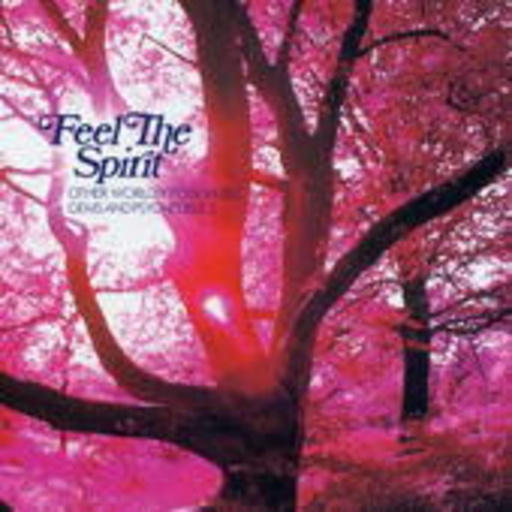 Diverse – Feel The Spirit