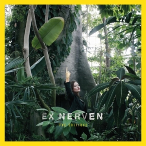 Ex Nerven – The Critique