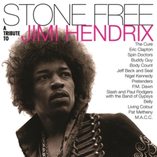 Diverse – Stone Free - A Tribute To Jimi Hendrix