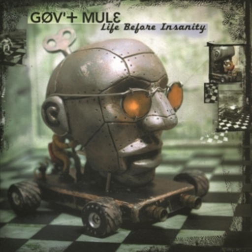 Gov' Mule – Life Before Insanity