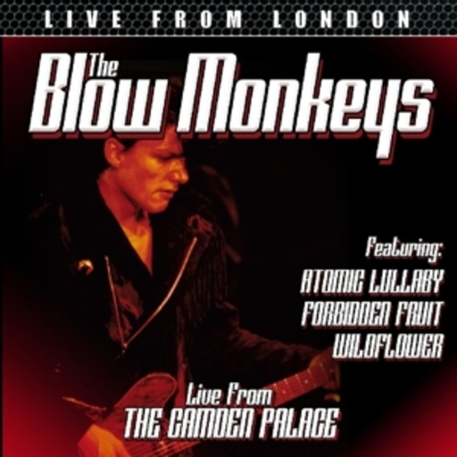 The Blow Monkeys – Live From London