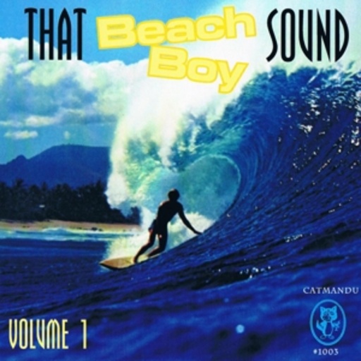 Diverse – That Beach Boy Sound