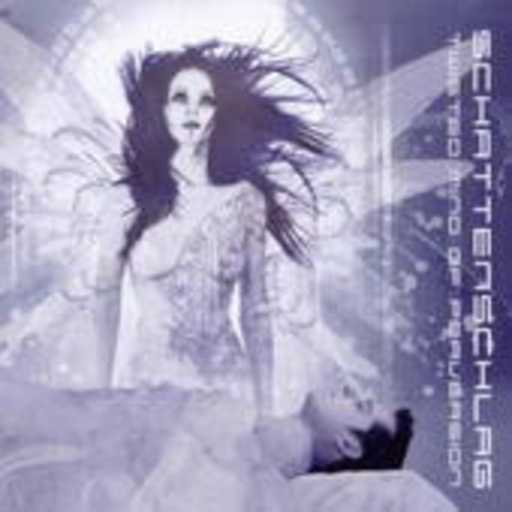 Schattenschlag – Twisted Mind Of Pervesion