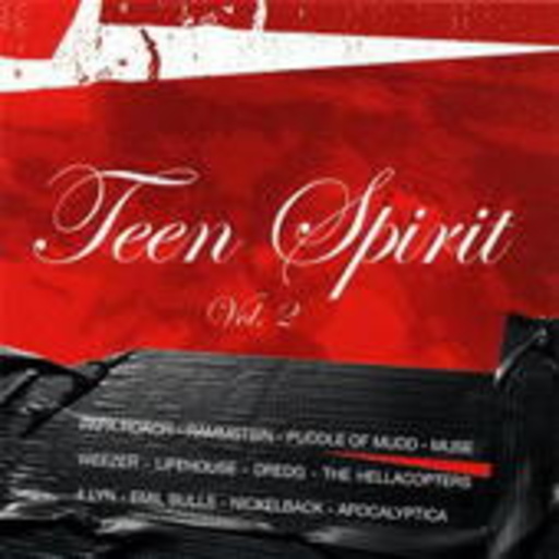 Diverse – Sounds Like Teen Spirit - The Best Of Alternative & Nu Rock Vol. 2