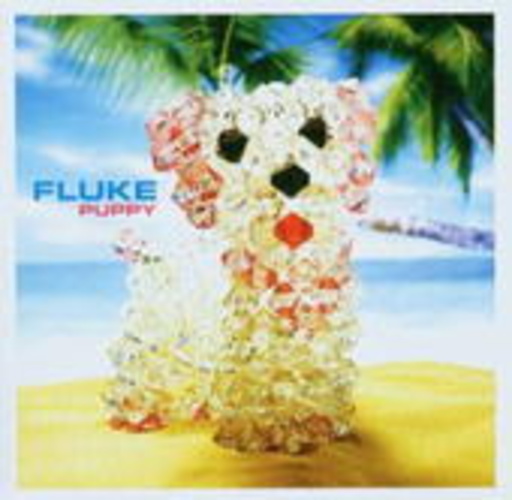 Fluke – Puppy