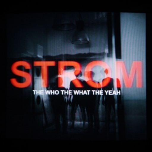 The Who The What The Yeah – Strom