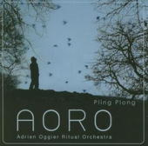 AORO - Adrien Oggier Ritual Orchestra – Pling Plong