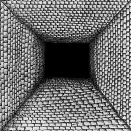 Dead In The Dirt – The Blind Hole