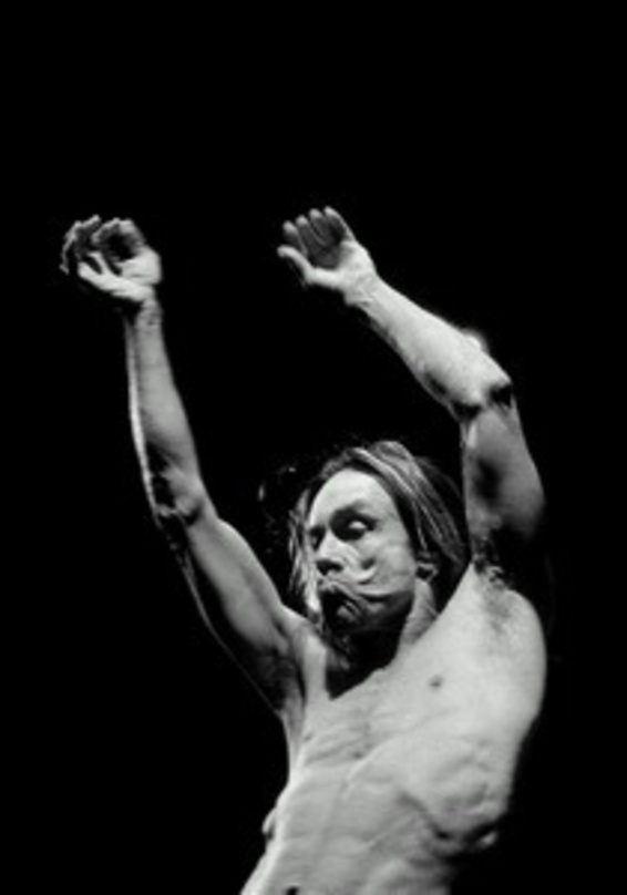Rockt wieder live mit den Stooges: Iggy Pop