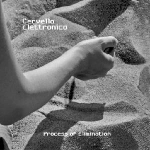 Cervello Elettronico – Process Of Elimination