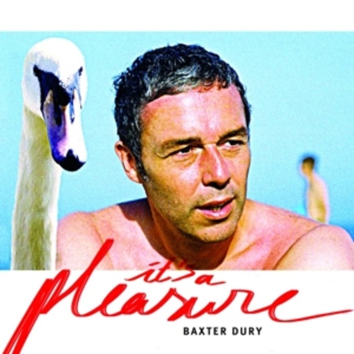 Baxter Dury – It's A Pleasure