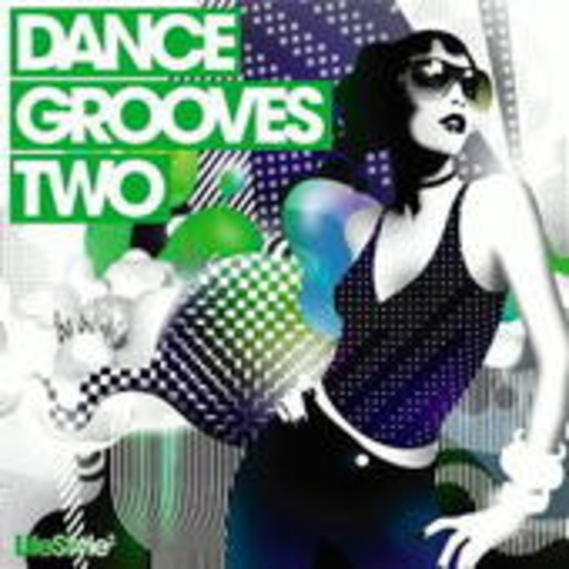 Diverse – Dance Grooves Vol. 2 (New Version)