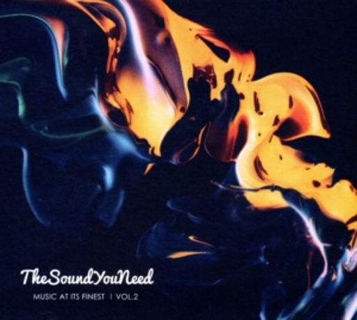 Diverse – The SoundYouNeed Vol. 2 - Music At Its Finest