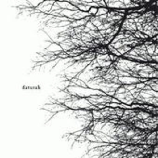 Daturah – Daturah