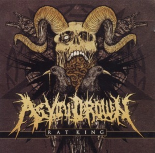 As You Drown – Rat King