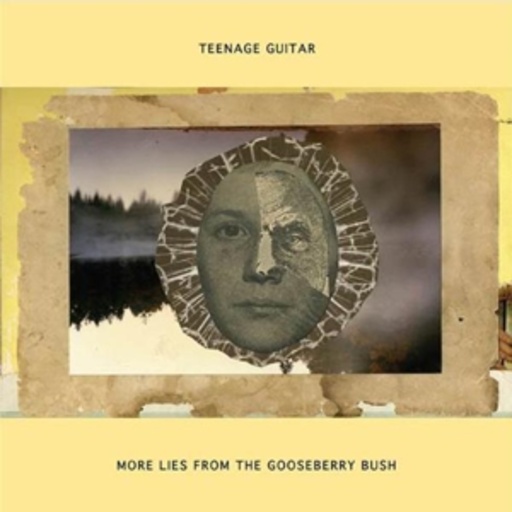 Teenage Guitar – More Lies From The Gooseberry Bush