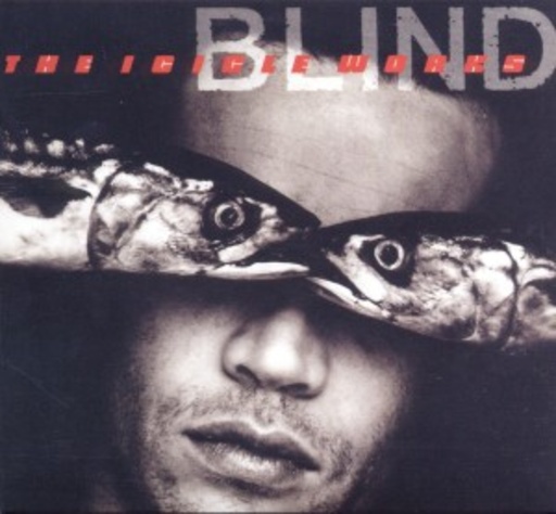 The Icicle Works – Blind