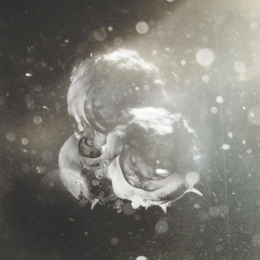 Richard J. Birkin – Vigils