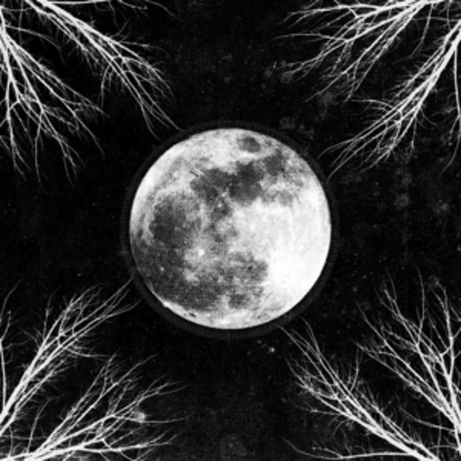 Corpus Christii – Pale Moon