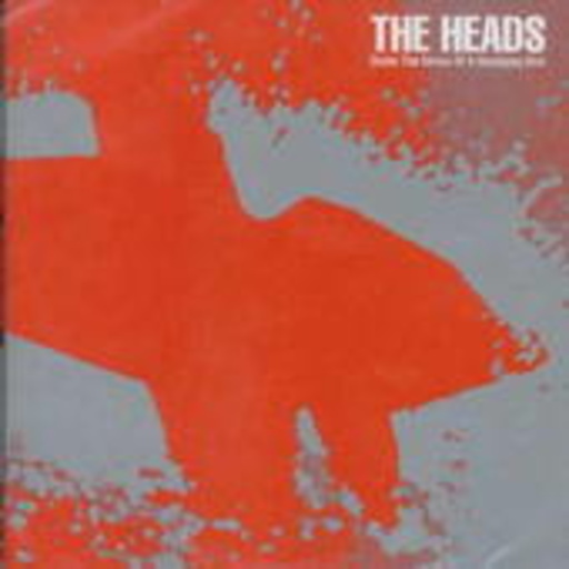 The Heads – Under The Stress Of A Headlong Dive