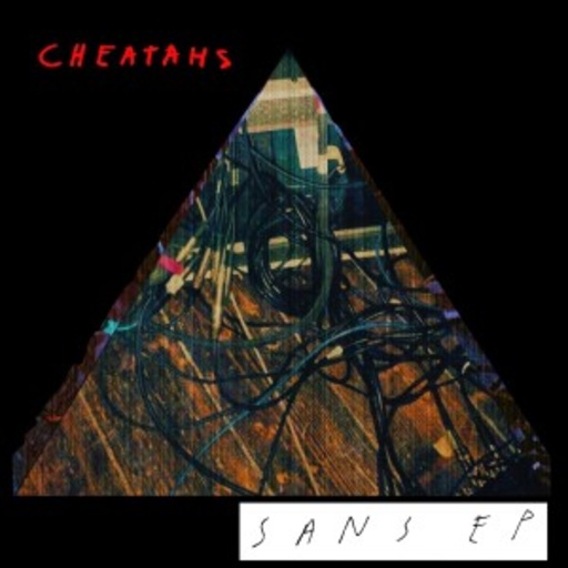 Cheatahs – SANS