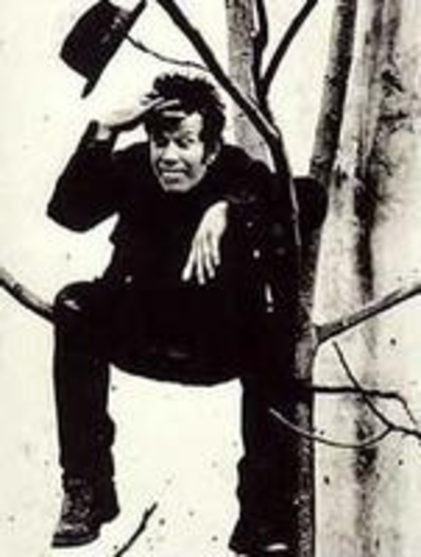 Floh vor dem gewaltigen Ansturm der Fans auf den Baum: Tom Waits