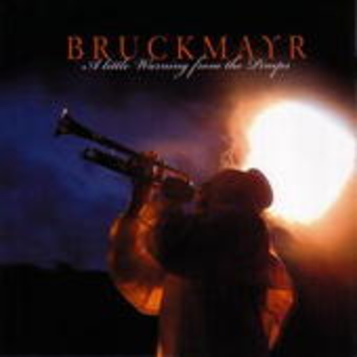 Bruckmayr – A Little Warning From The Pimps