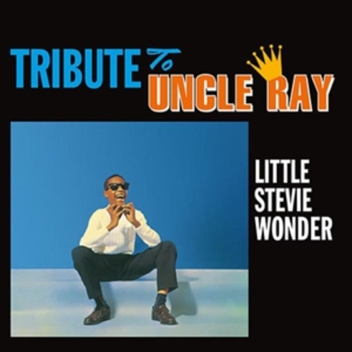 Stevie Wonder – A Tribute To Uncle Ray