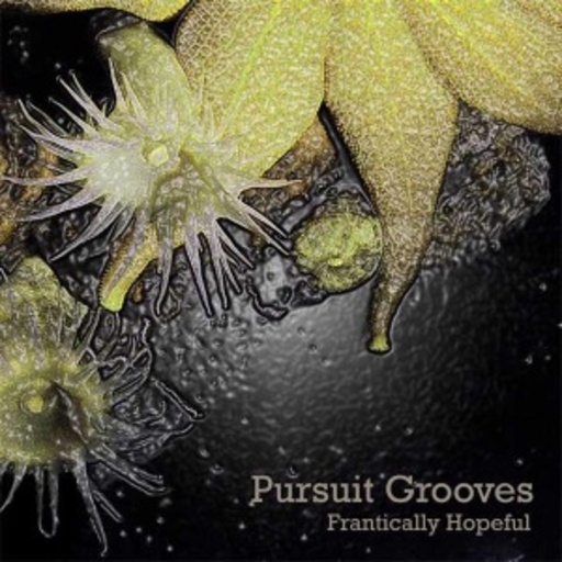 Pursuit Grooves – Frantically Hopeful EP