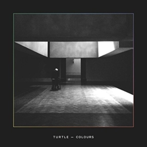 Turtle – Colours