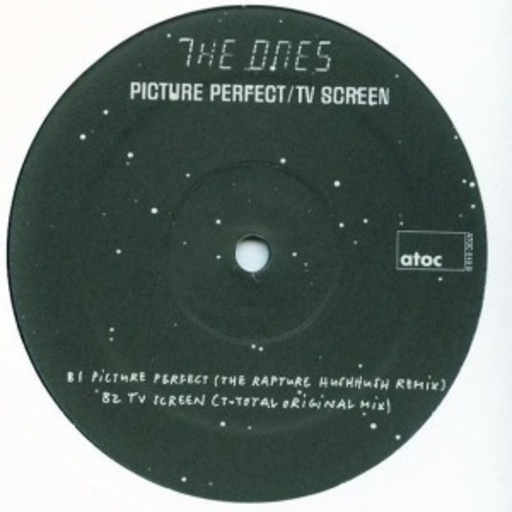 The Ones – Picture Perfect/TV Screen