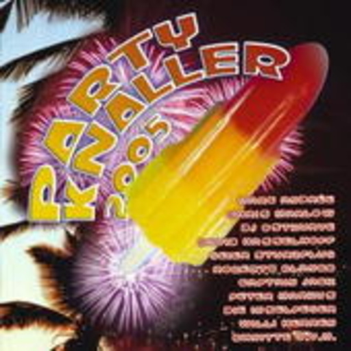 Diverse – Party Knaller 2005
