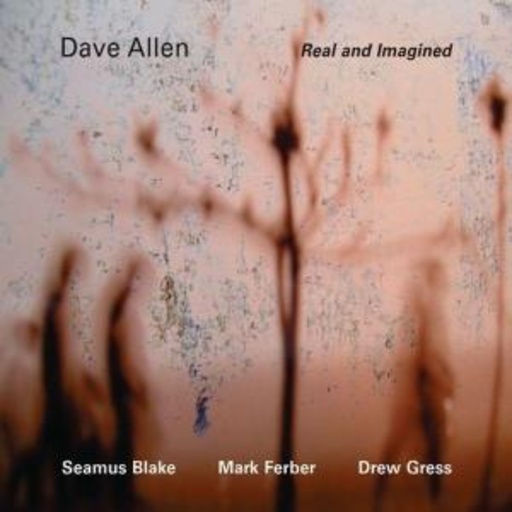 Dave Allen – Real And Imagined