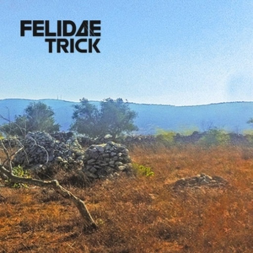 Felidae Trick – Patrimony