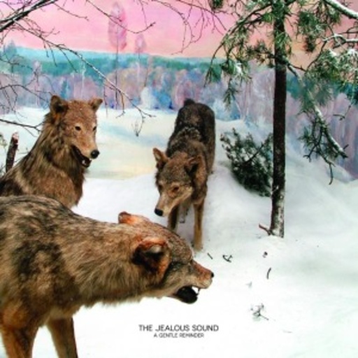 The Jealous Sound – A Gentle Reminder