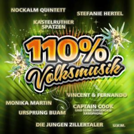Diverse – 110% Volksmusik