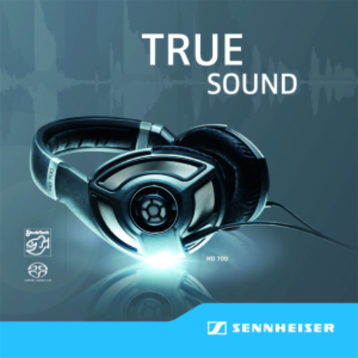 Diverse – True Sound
